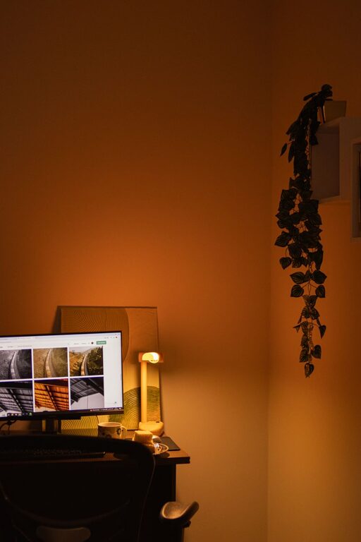 Tips for Creating a Productive Home Office Environment
